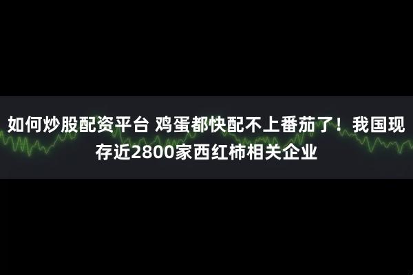 如何炒股配资平台 鸡蛋都快配不上番茄了！我国现存近2800家西红柿相关企业